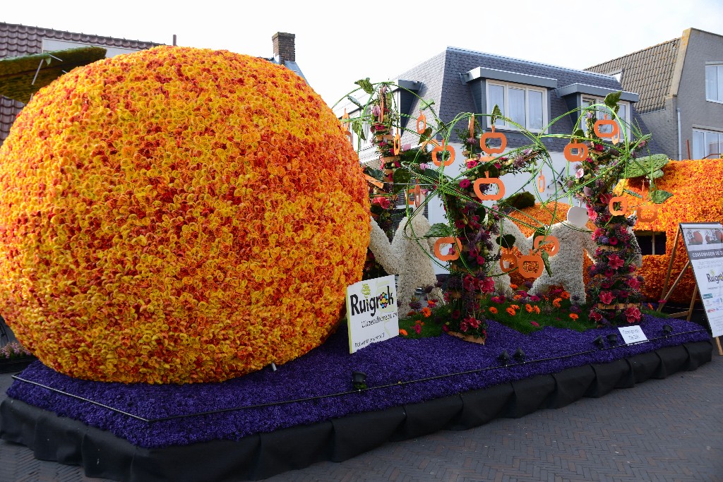 ../Images/Bloemencorso 2015 002.jpg